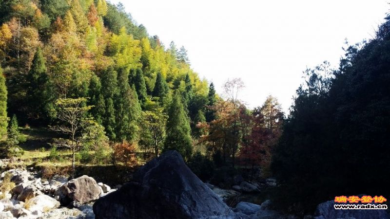 20131130_131230.jpg
