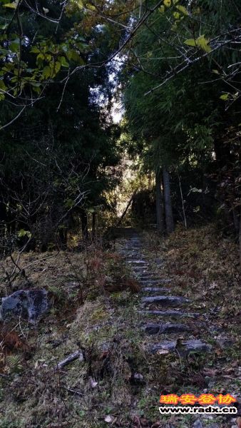 20131130_131427.jpg