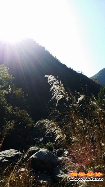 20131130_132208.jpg