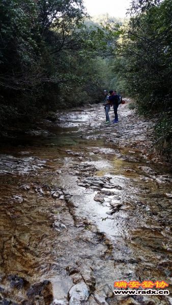 20131130_150607.jpg