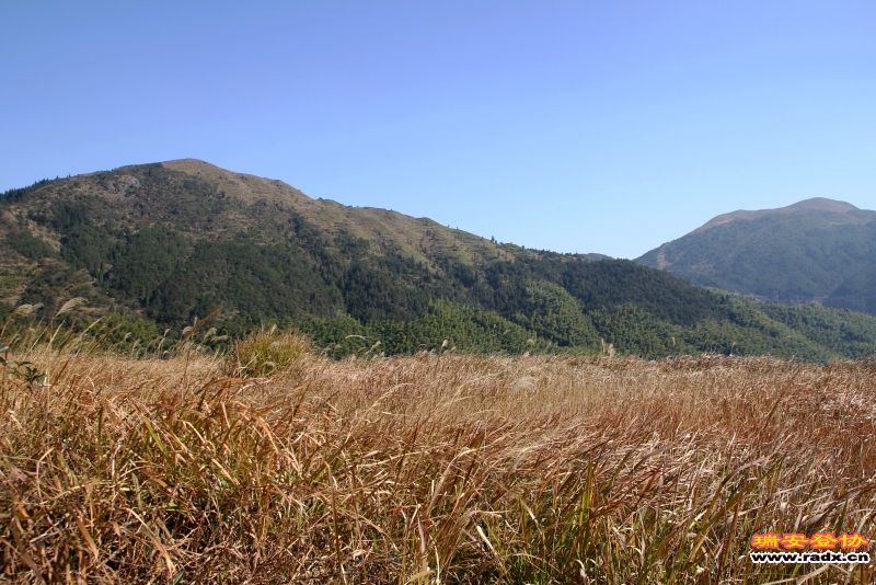 IMG_6739_副本.jpg