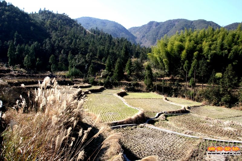 IMG_6746_副本.jpg