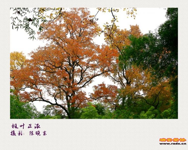 6H6A2470_副本_副本.jpg