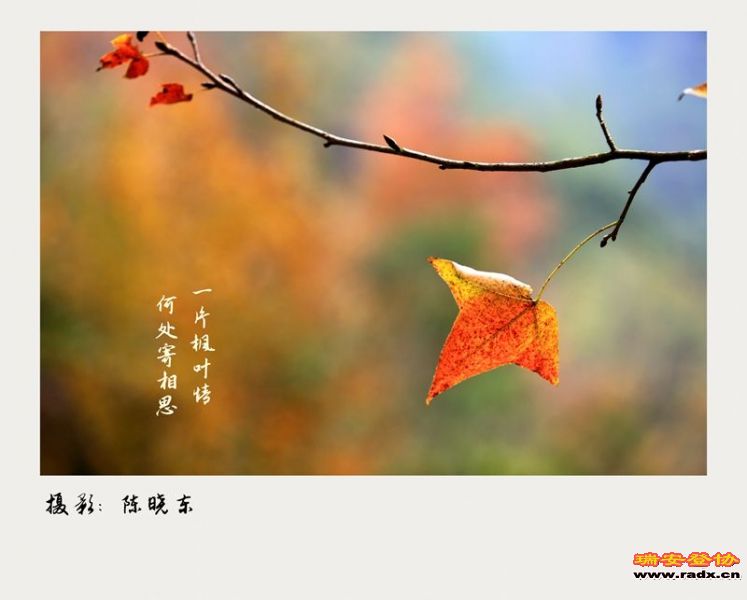6H6A2414_副本_副本.jpg