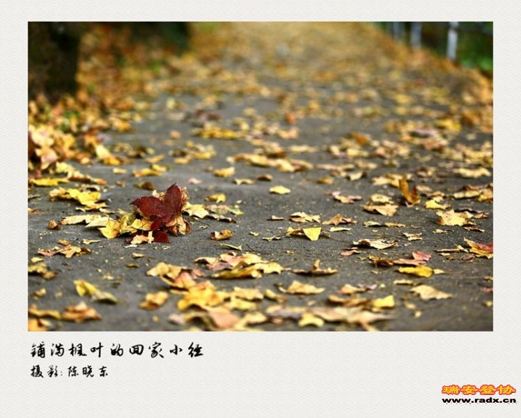 6H6A2368_副本_副本.jpg