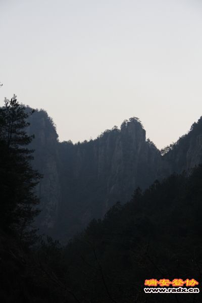 _MG_2918.jpg