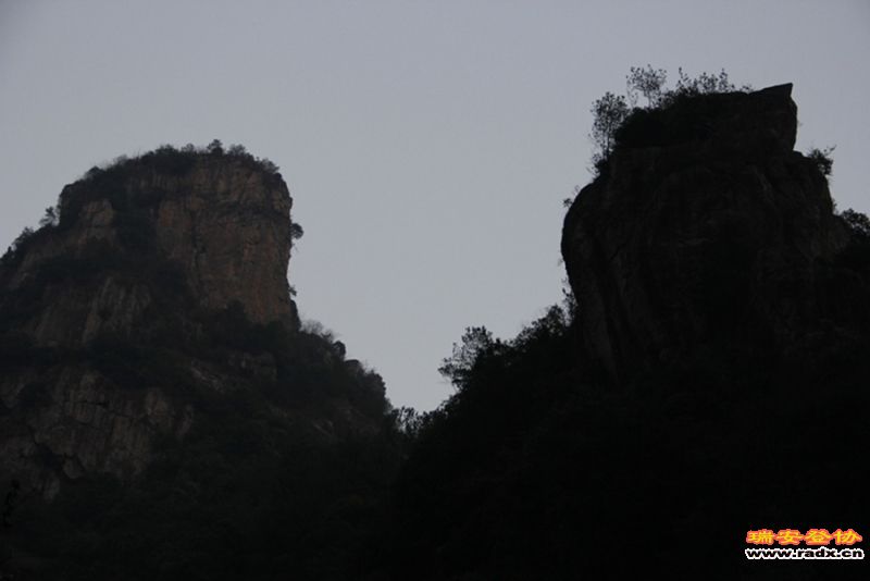 _MG_2919.jpg