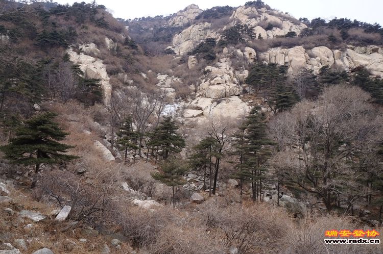 DSC03280.jpg