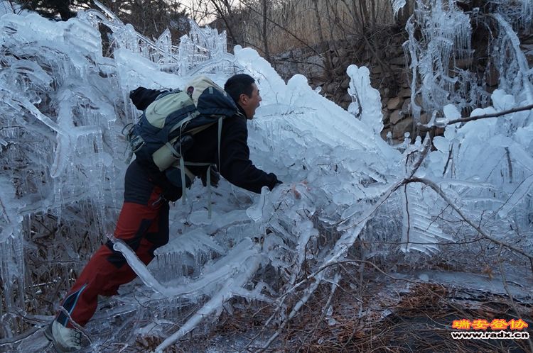 DSC03652.jpg