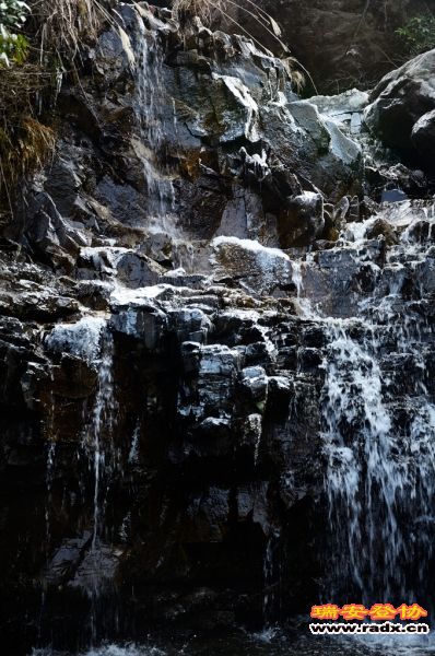 DSC_8931.jpg