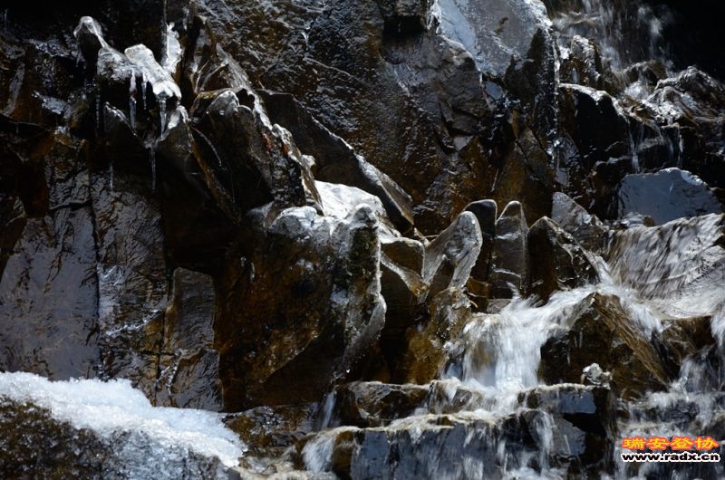 DSC_8941.jpg