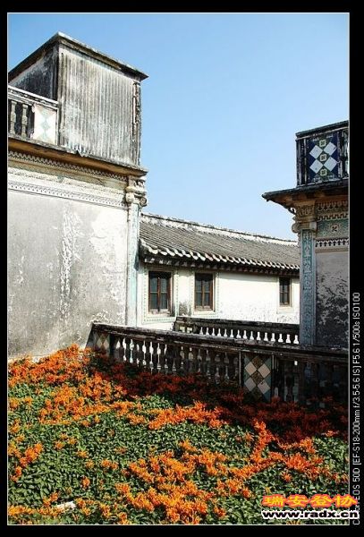 佛手花。