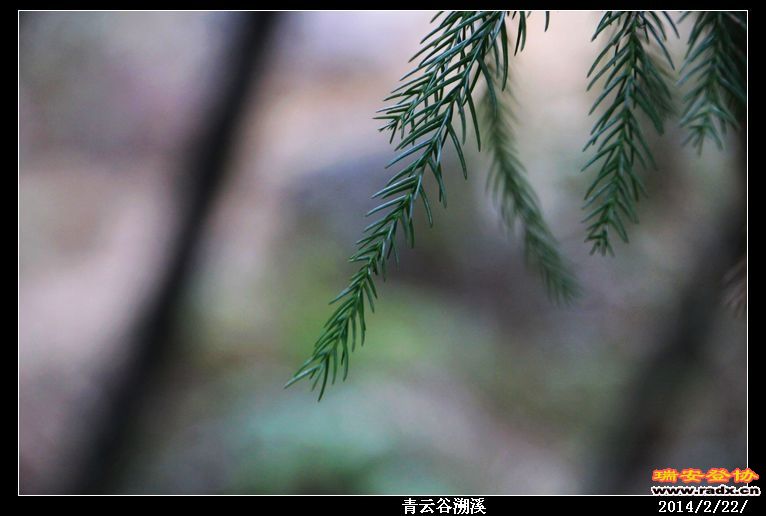 nEO_IMG_IMG_0383.jpg