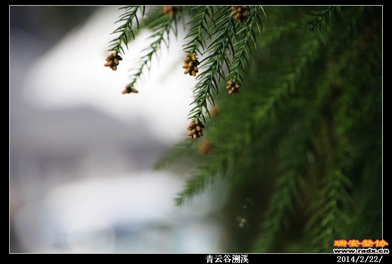 nEO_IMG_IMG_0386.jpg