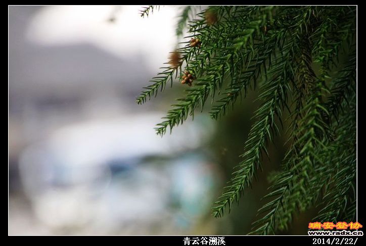 nEO_IMG_IMG_0387.jpg