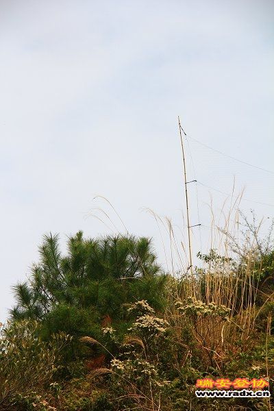 IMG_0991.JPG