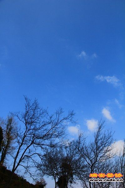 IMG_1039.JPG