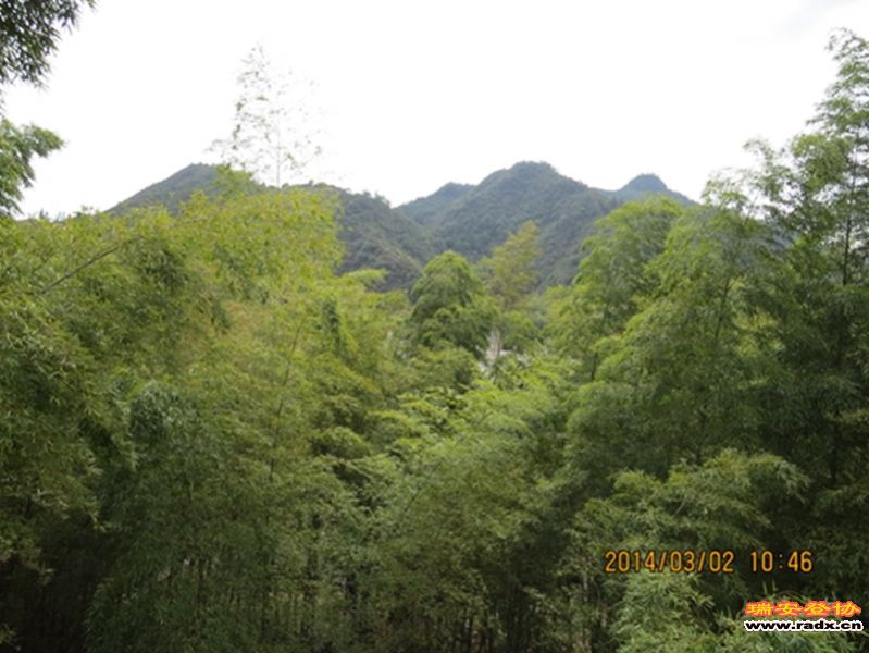 IMG_4730.jpg