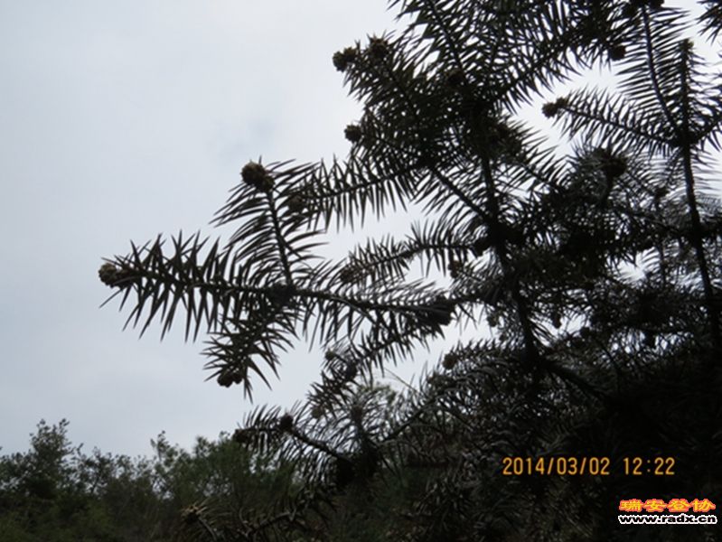IMG_4776.jpg