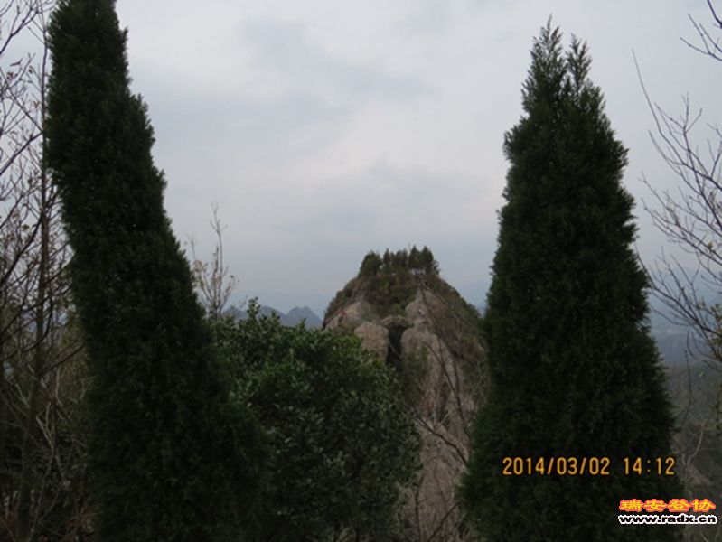 IMG_4974.jpg