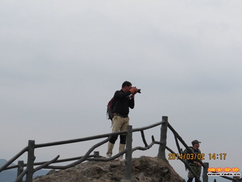IMG_4987.jpg