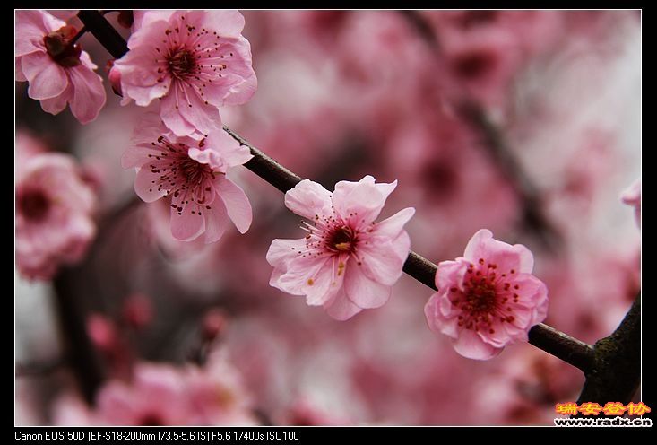 nEO_IMG_IMG_8151.jpg
