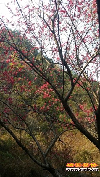 20140322_145016.jpg