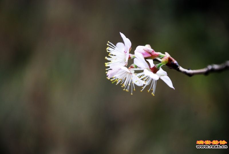 DSC_0151.jpg