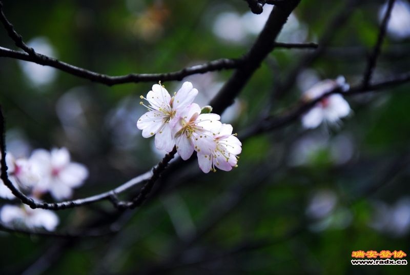 DSC_0153.jpg