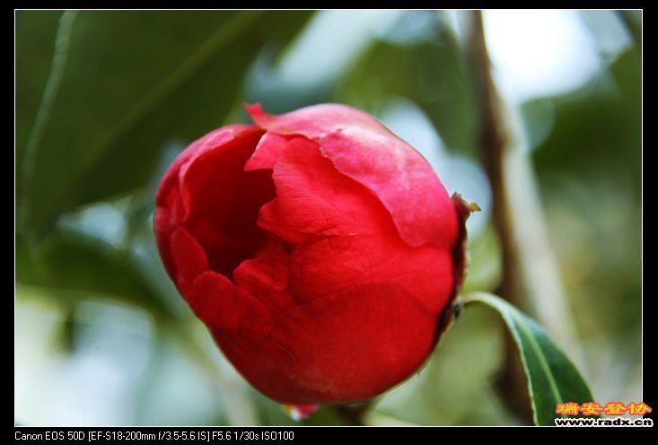 nEO_IMG_IMG_8713.jpg