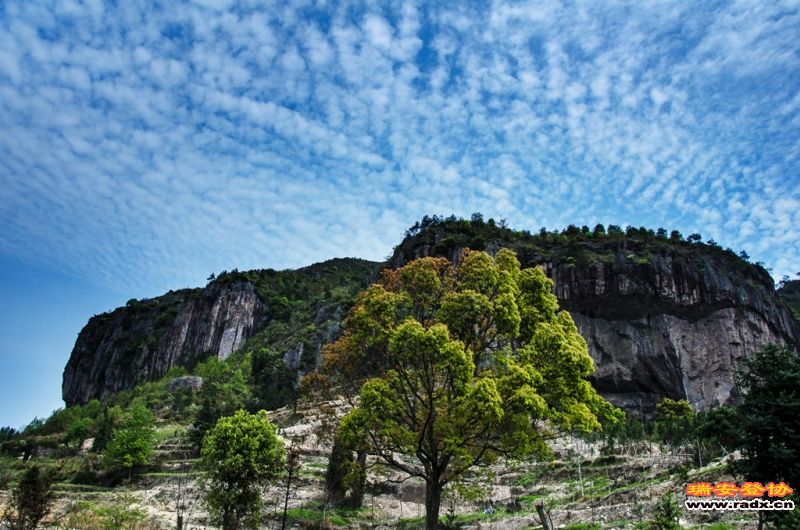 DSC_1913.jpg