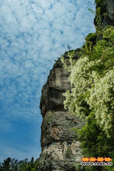 DSC_2025.jpg
