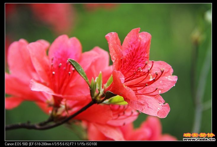 nEO_IMG_IMG_9454.jpg