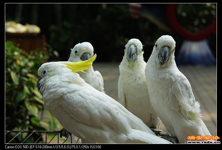 nEO_IMG_IMG_9910.jpg