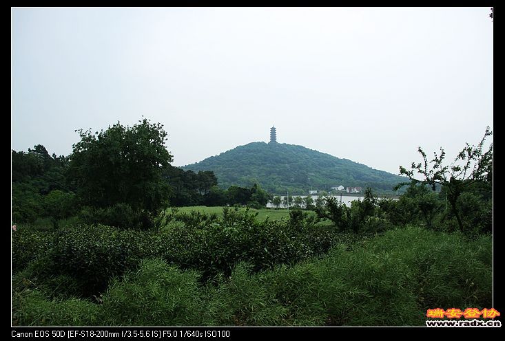 nEO_IMG_IMG_9957.jpg