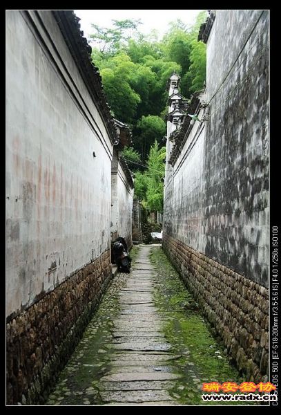 nEO_IMG_IMG_0195.jpg