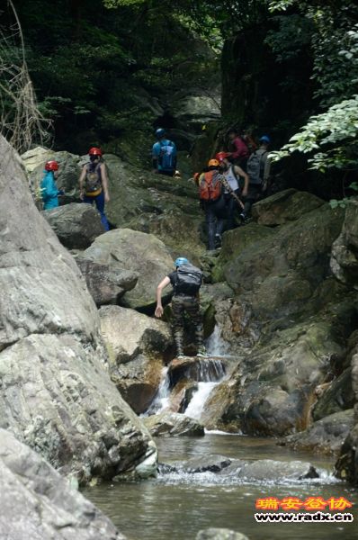 DSC_8319.jpg