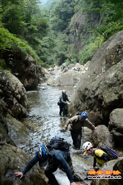 DSC_8322.jpg