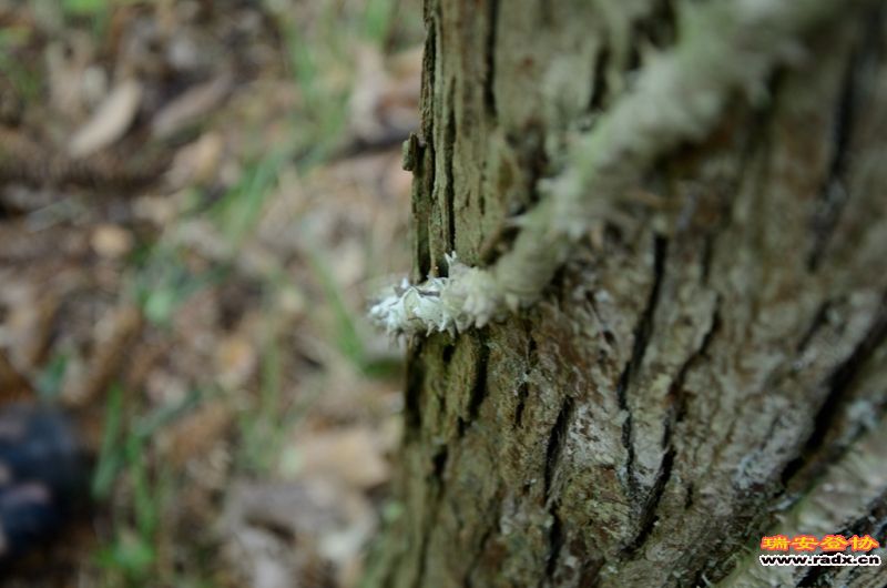 DSC_8507.jpg