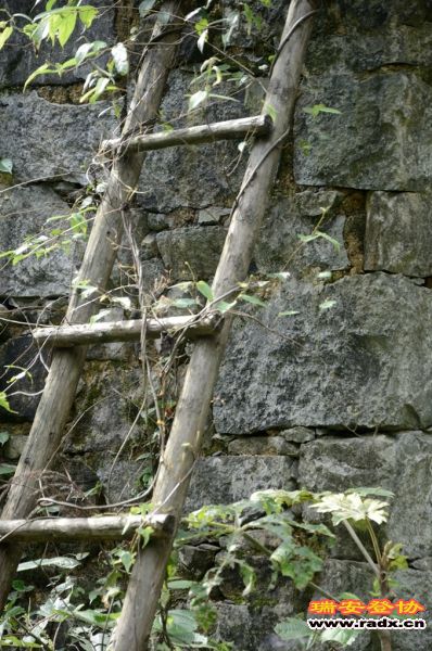 DSC_8557.jpg