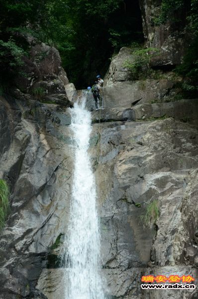 DSC_9488.jpg