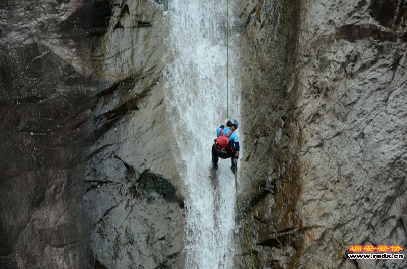 DSC_9542.jpg