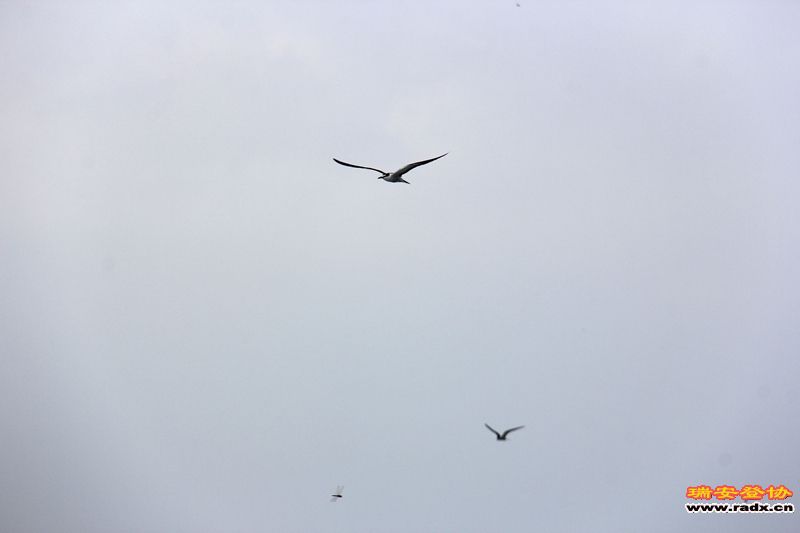 IMG_7663.jpg