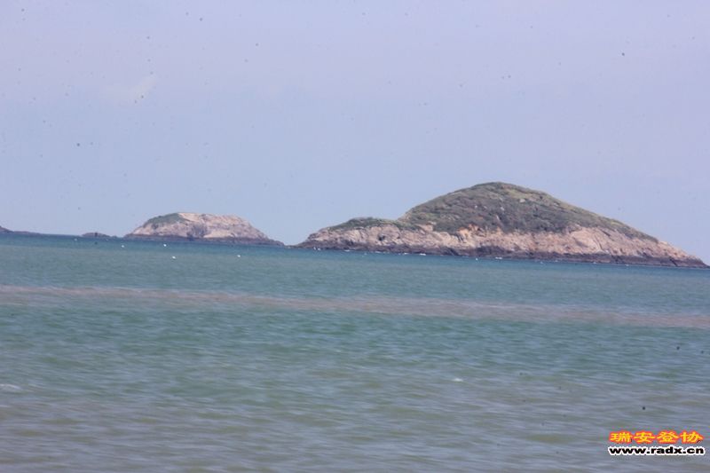 IMG_7773.jpg