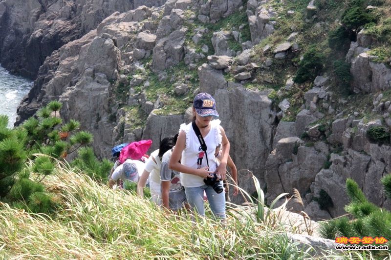 IMG_7964.jpg
