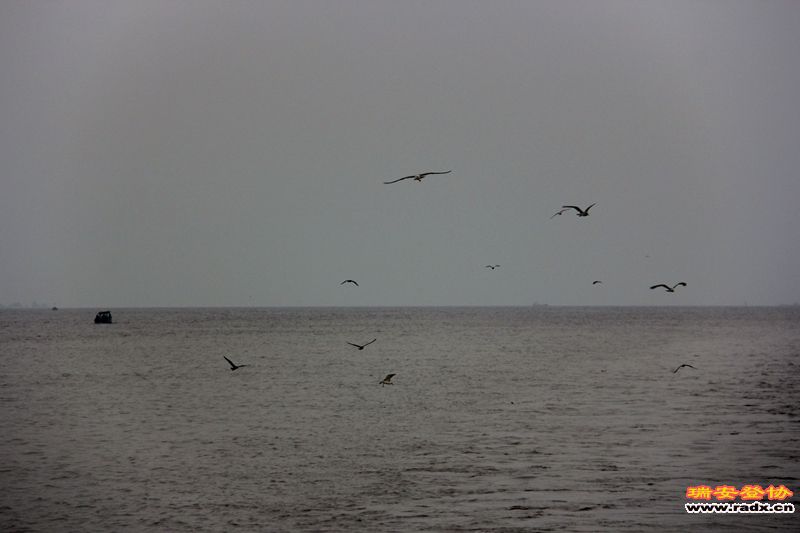 IMG_8020.jpg