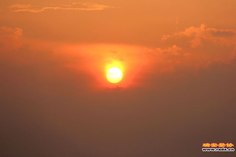 IMG_8015.jpg