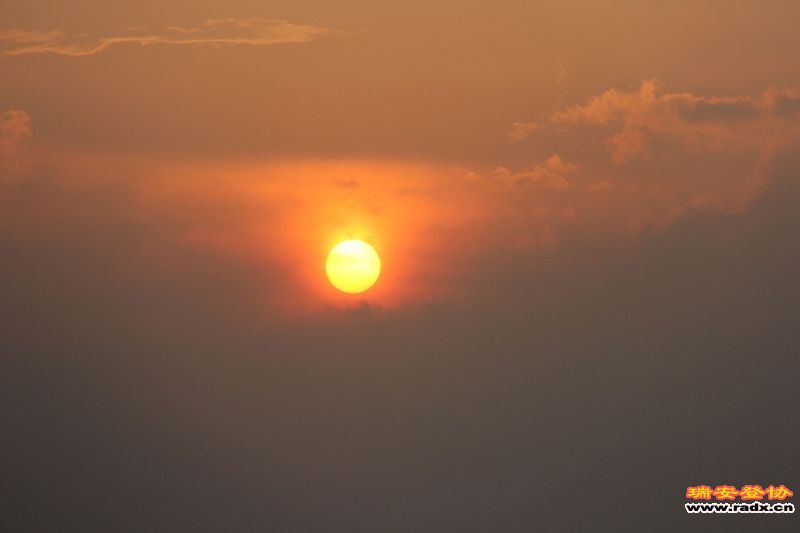 IMG_8016.jpg