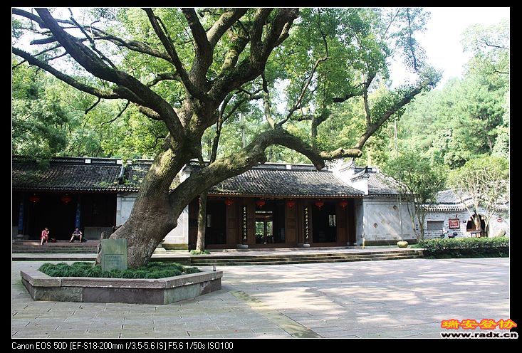 报国寺