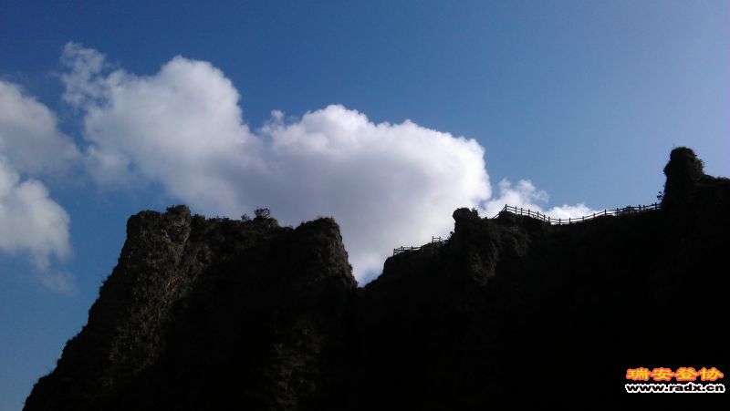IMAG1216.jpg